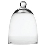 Glass Cloche serverware