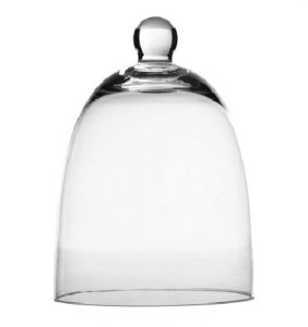 Glass Cloche serverware